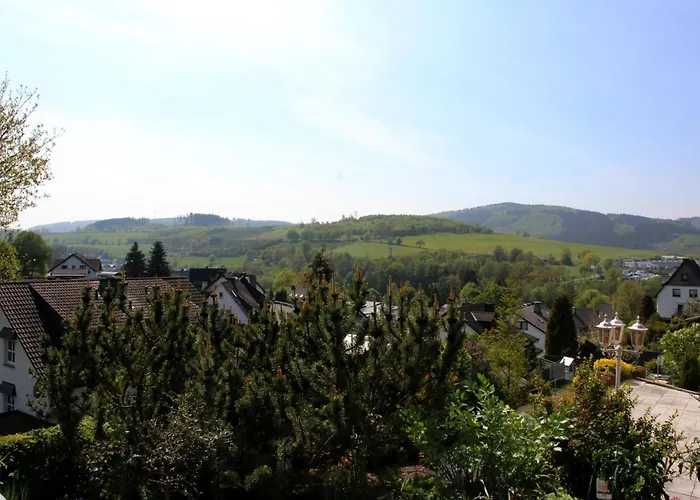 公寓 Olsberg *